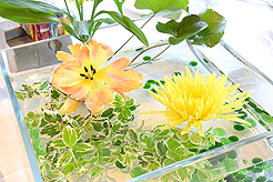 SEATTLE SPACE NEEDLE